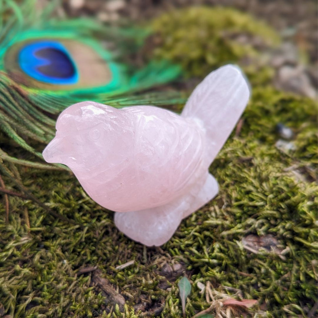Adorable Rose Quartz Spring Bird Carving ~ Pink Crystal Carving~ Sweet Tones to Heal the Heart Chakra - Earth Family Crystals