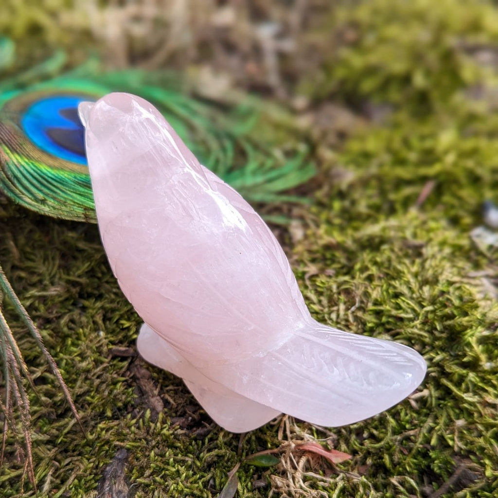 Adorable Rose Quartz Spring Bird Carving ~ Pink Crystal Carving~ Sweet Tones to Heal the Heart Chakra - Earth Family Crystals