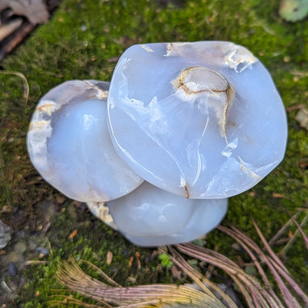Blue Chalcedony Mushroom Carving ~ Spring Mushrooms ~ Mushroom Crystal Carving - Earth Family Crystals