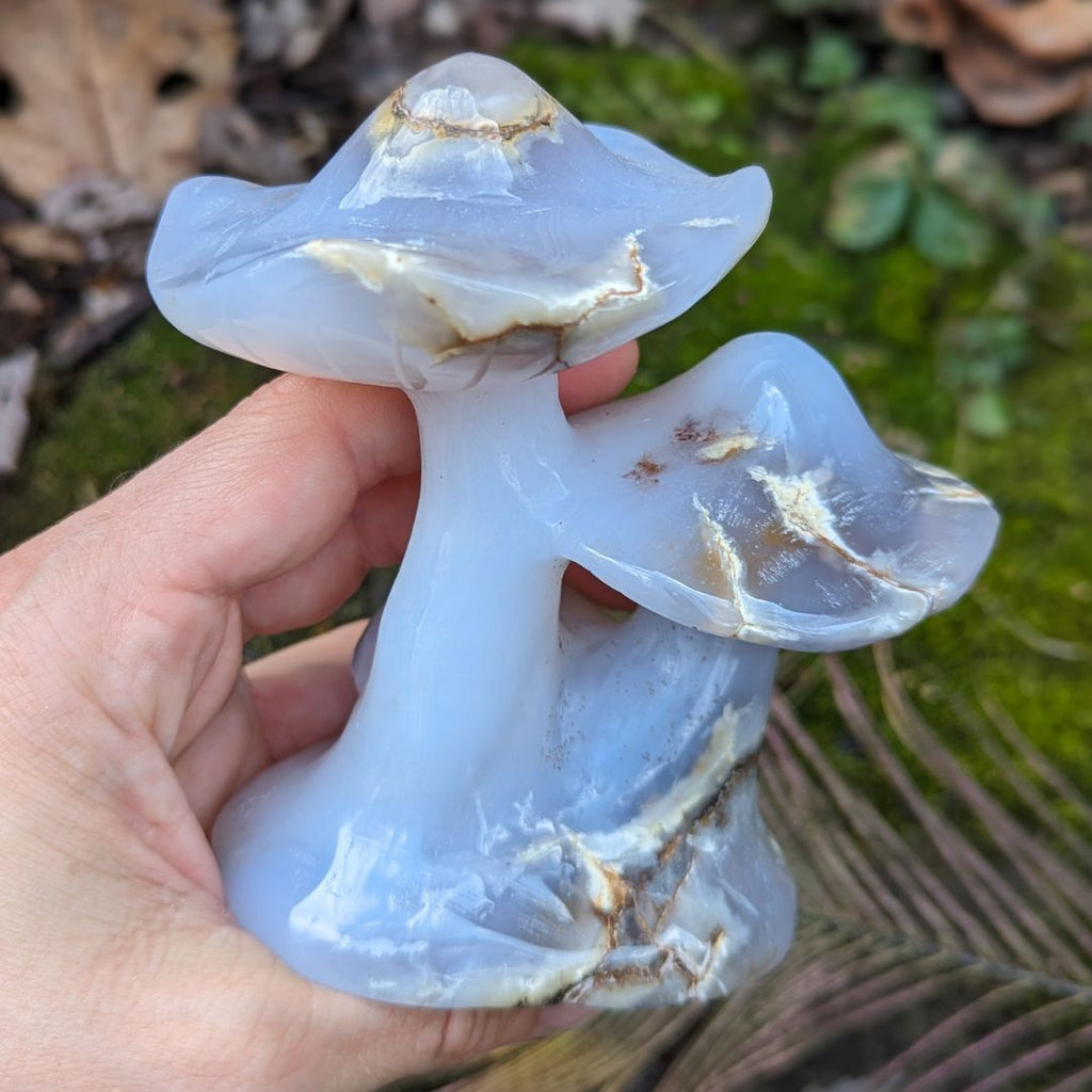 Blue Chalcedony Mushroom Carving ~ Spring Mushrooms ~ Mushroom Crystal Carving - Earth Family Crystals