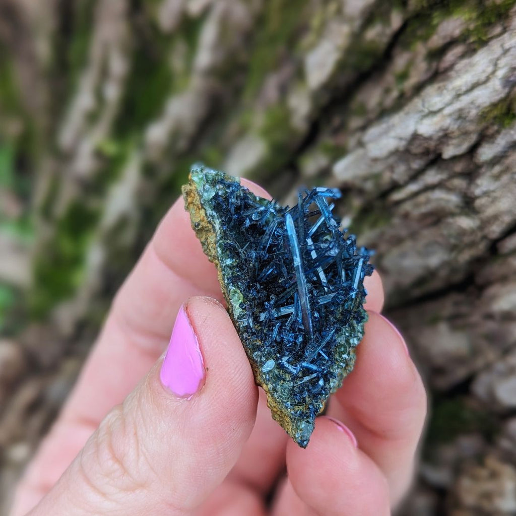 RARE Vivianite Cluster ~ Enlightened Compassion and Cellular Regeneration ~ Heart Chakra Earth and Water Elements - Earth Family Crystals