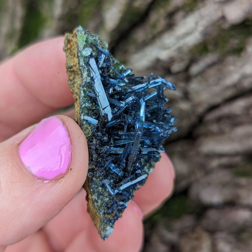 RARE Vivianite Cluster ~ Enlightened Compassion and Cellular Regeneration ~ Heart Chakra Earth and Water Elements - Earth Family Crystals