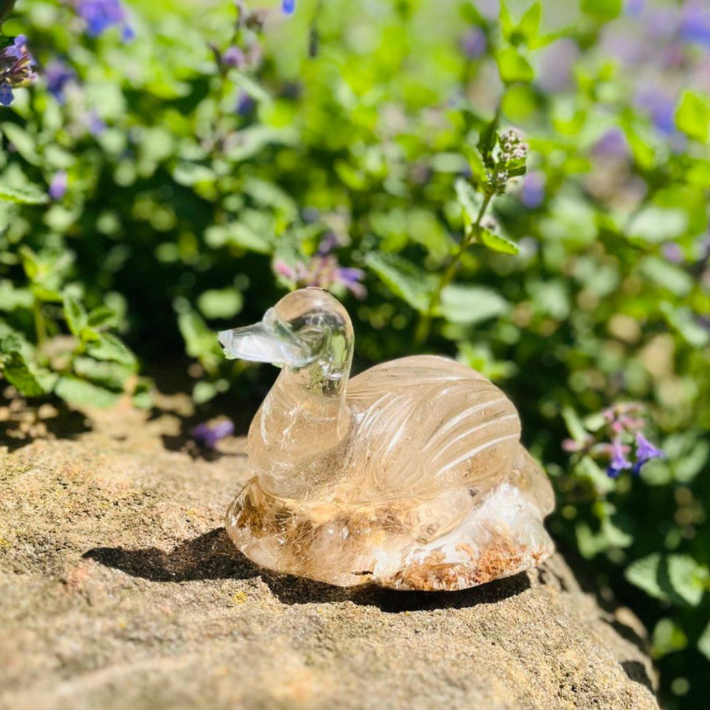 One of a Kind Golden Rutile and Garden Quartz Swan Carving from Brazil~ Tranquil, Serene and Peaceful Energies - Earth Family Crystals