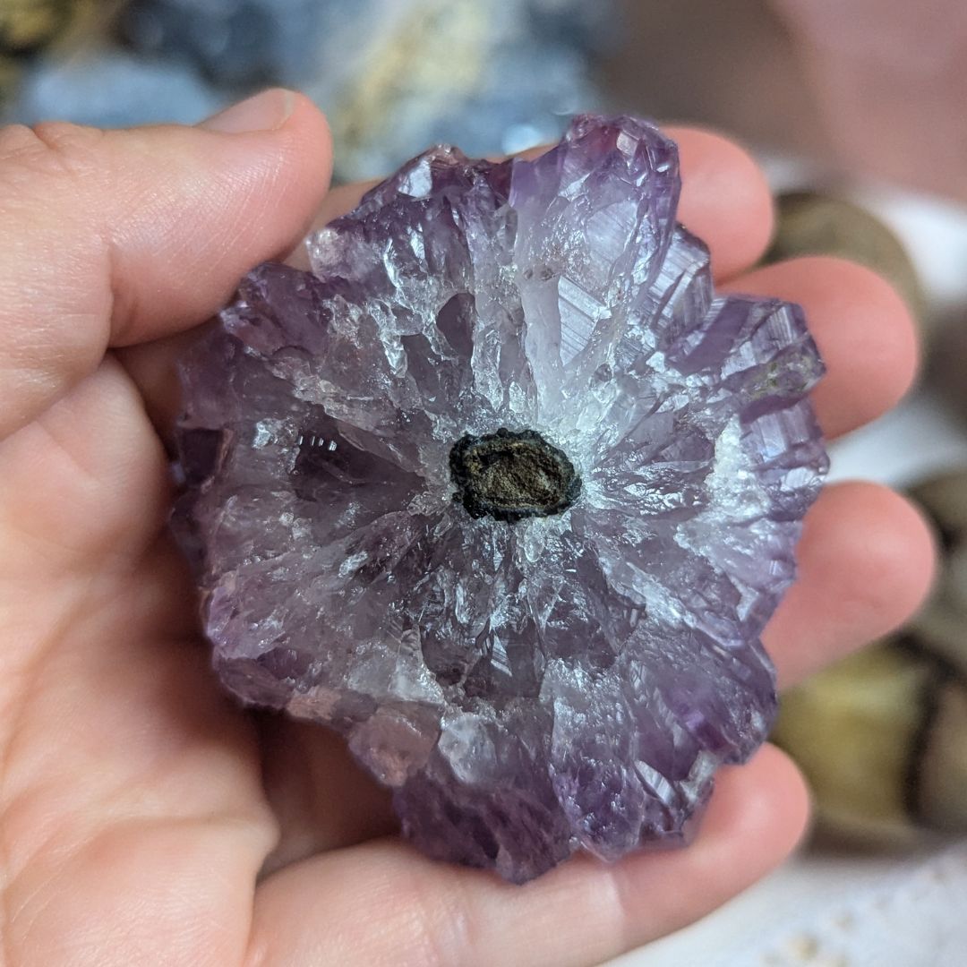 Purple Amethyst Flower with Soothing Energy Flow