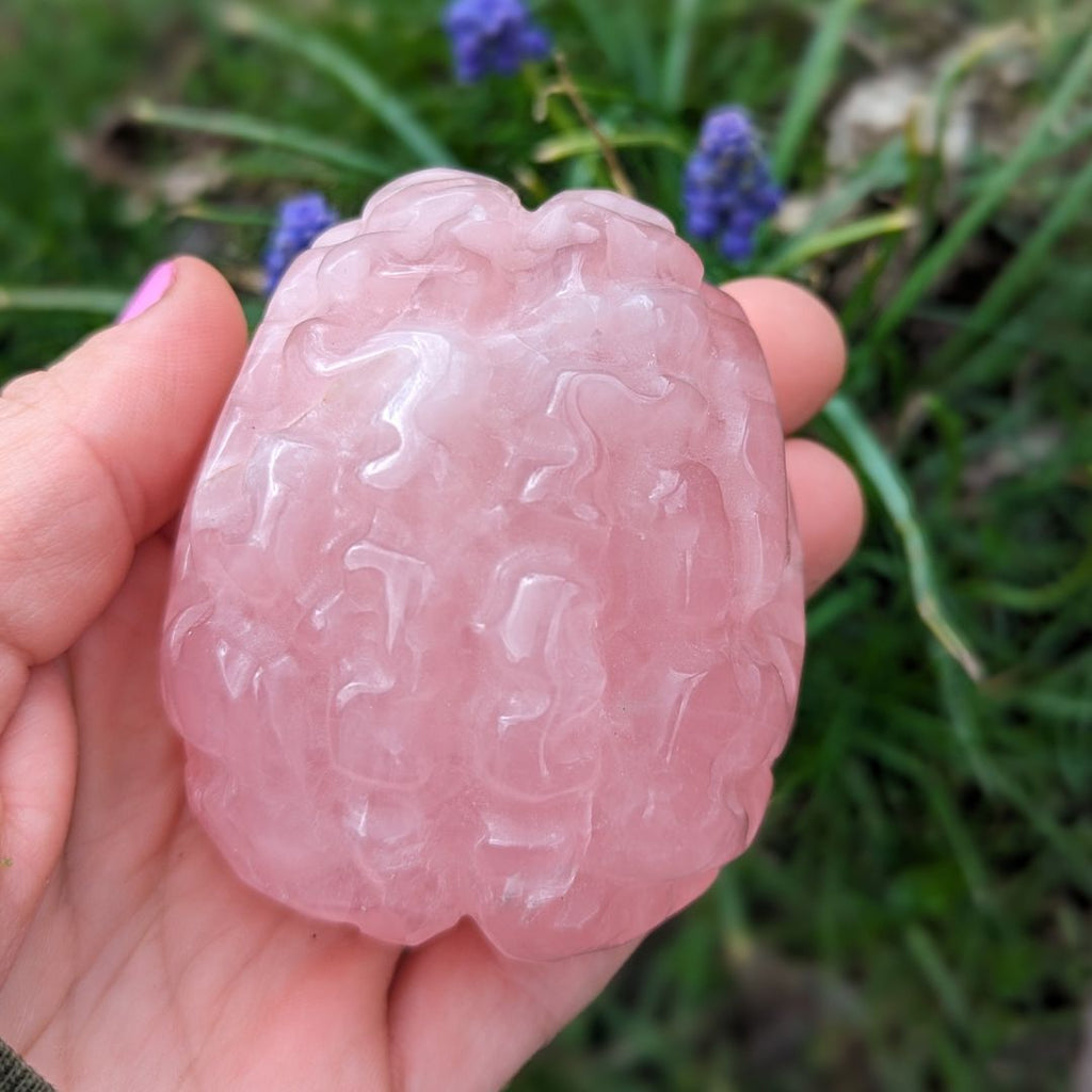 Rose Quartz Brain Carving ~ Perfect for Meditation and Studying ~ Sweet and Soothing Vibrations for Healing the Auric Field - Earth Family Crystals