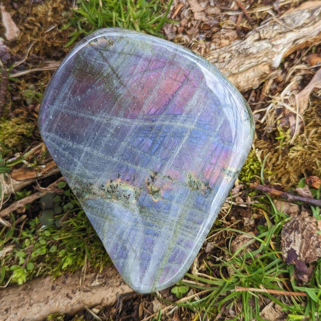 Pink and Purple Flash! Labradorite Free Form Carvings ~ A Tucson Gem Show Find! - Earth Family Crystals