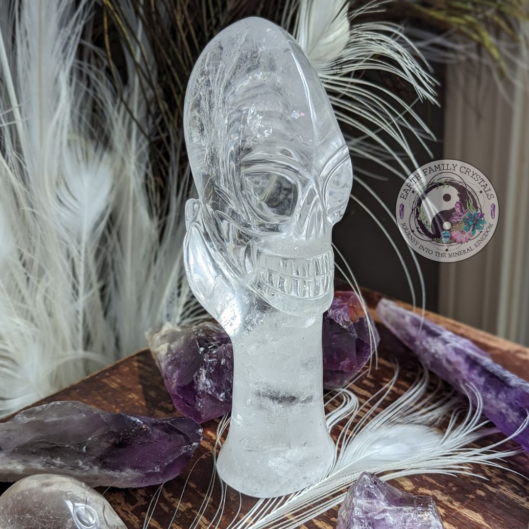 AMAZING BRAZILIAN QUARTZ CARVING~ Mystical Hand with Alien Skull ~ Intricately hand carved in Brazil ~ Luxury Display Quartz Crystal Carving - Earth Family Crystals