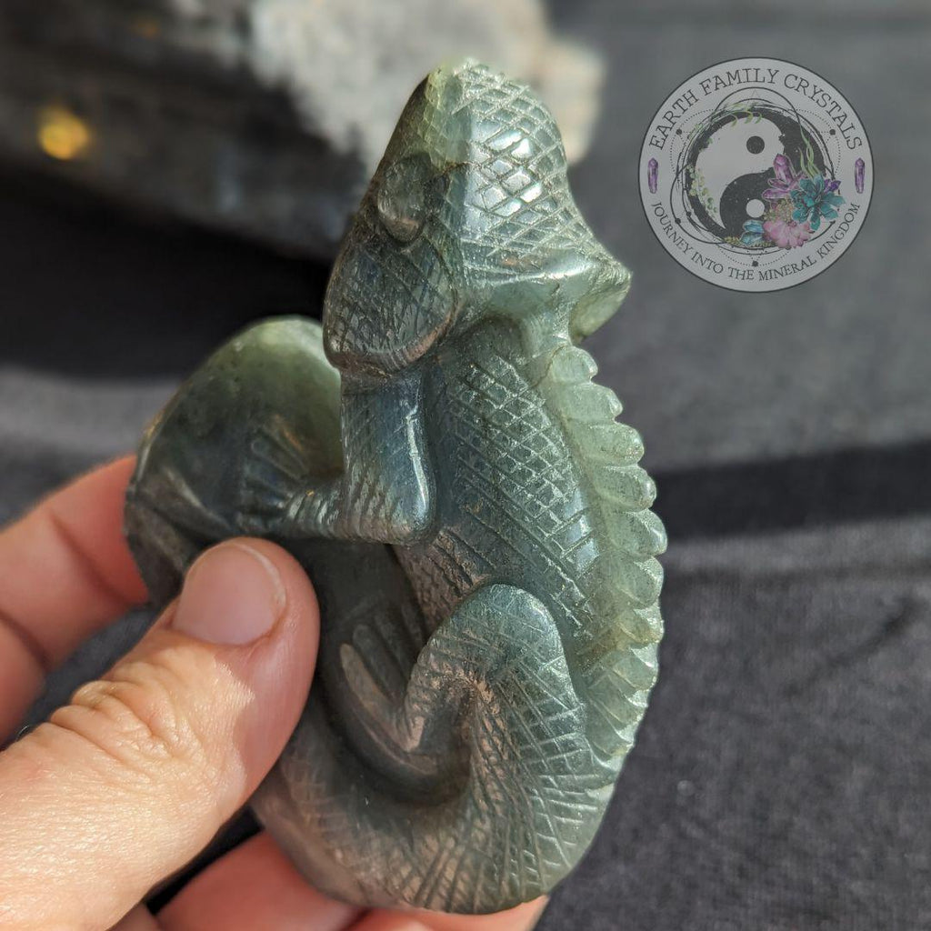 Flashy Labradorite Iguana Carving - Earth Family Crystals