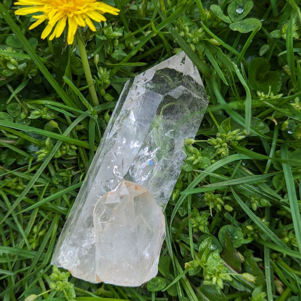 Gorgeous Lemurian Seed Clear Quartz Natural Point from Brazil ~ Program and Amplify Energy - Earth Family Crystals