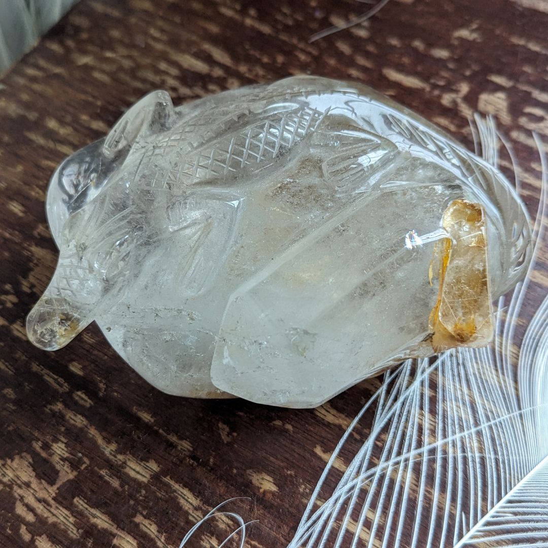 Incredible LARGE 1.1 KG Luxury Carving, Alligator on a Crystal Bed ~ One of a Kind, Brazilian Garden Quartz with Hematoid and Rutile Inclusions - Earth Family Crystals