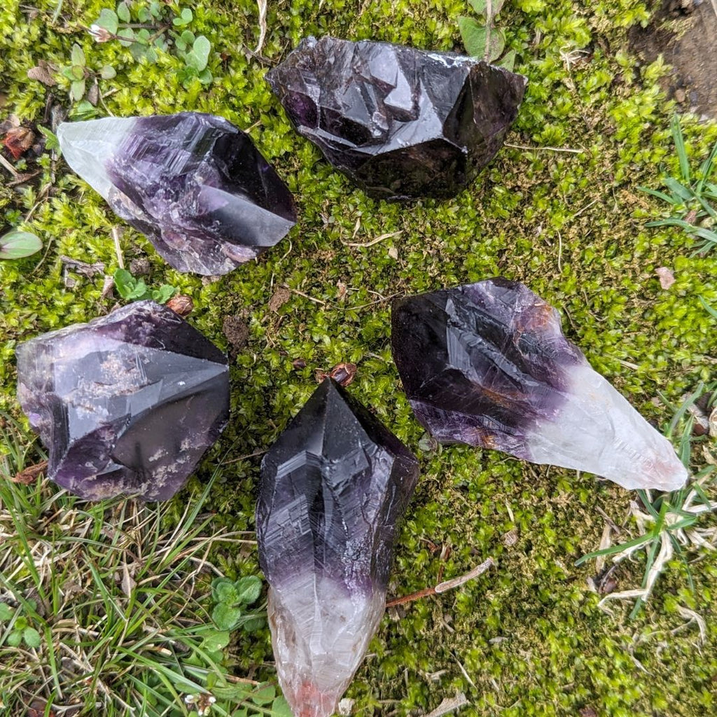 RARE FIND Deep Smoky Black Elestial Amethyst Root Crystals from Uruguay ~ Dragon Tooth Amethyst Points - Earth Family Crystals