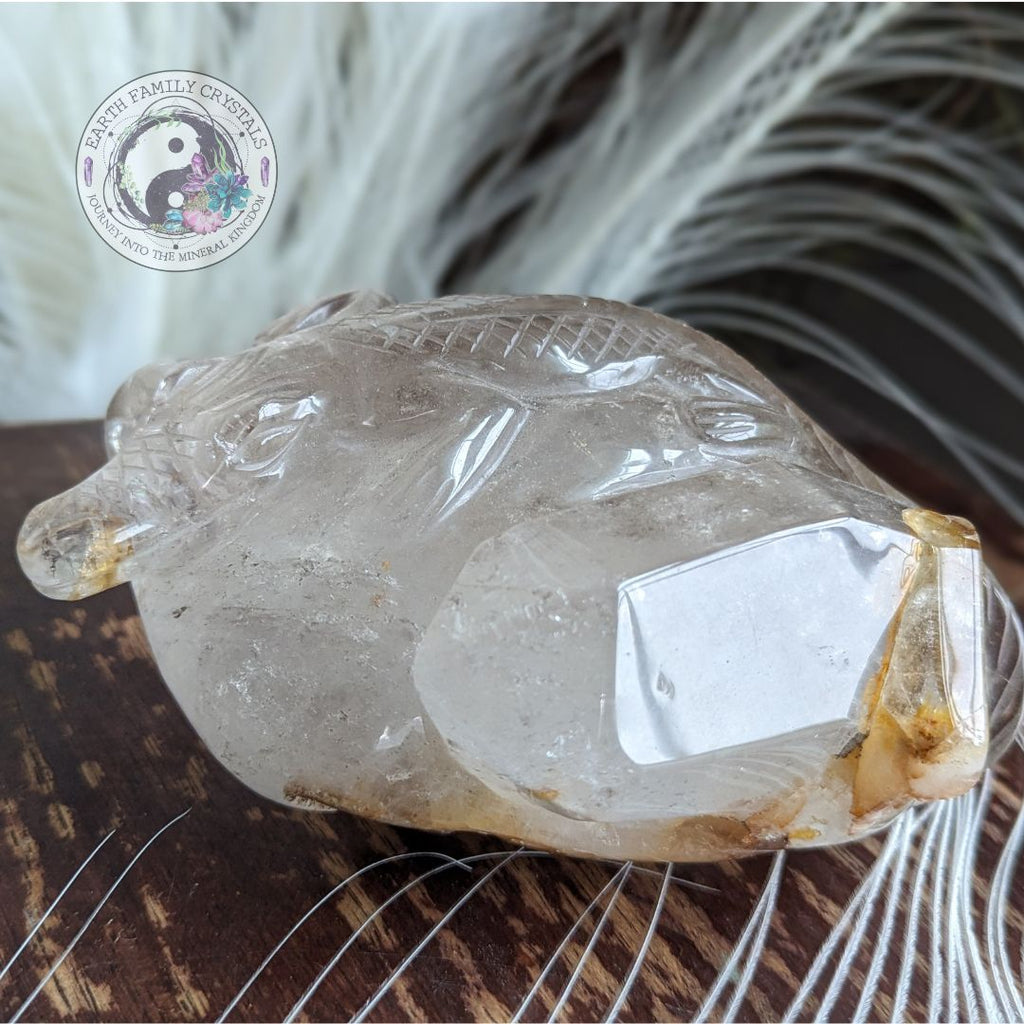 Incredible LARGE 1.1 KG Luxury Carving, Alligator on a Crystal Bed ~ One of a Kind, Brazilian Garden Quartz with Hematoid and Rutile Inclusions - Earth Family Crystals