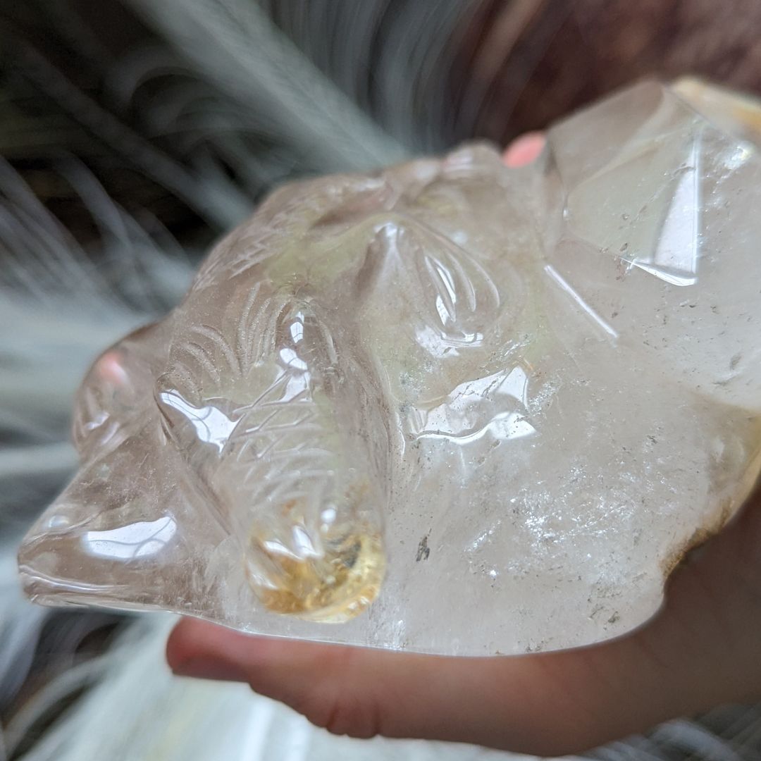 Incredible LARGE 1.1 KG Luxury Carving, Alligator on a Crystal Bed ~ One of a Kind, Brazilian Garden Quartz with Hematoid and Rutile Inclusions - Earth Family Crystals