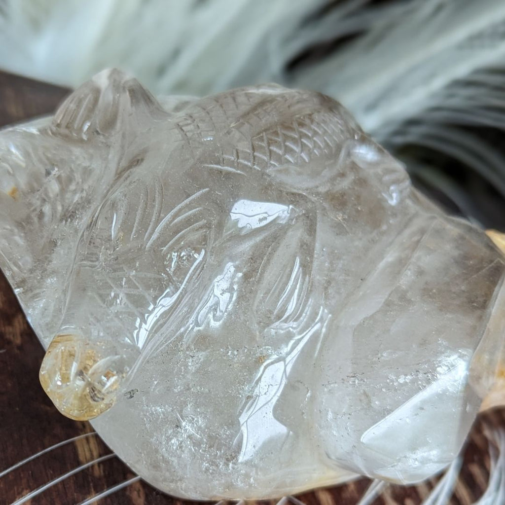 Incredible LARGE 1.1 KG Luxury Carving, Alligator on a Crystal Bed ~ One of a Kind, Brazilian Garden Quartz with Hematoid and Rutile Inclusions - Earth Family Crystals