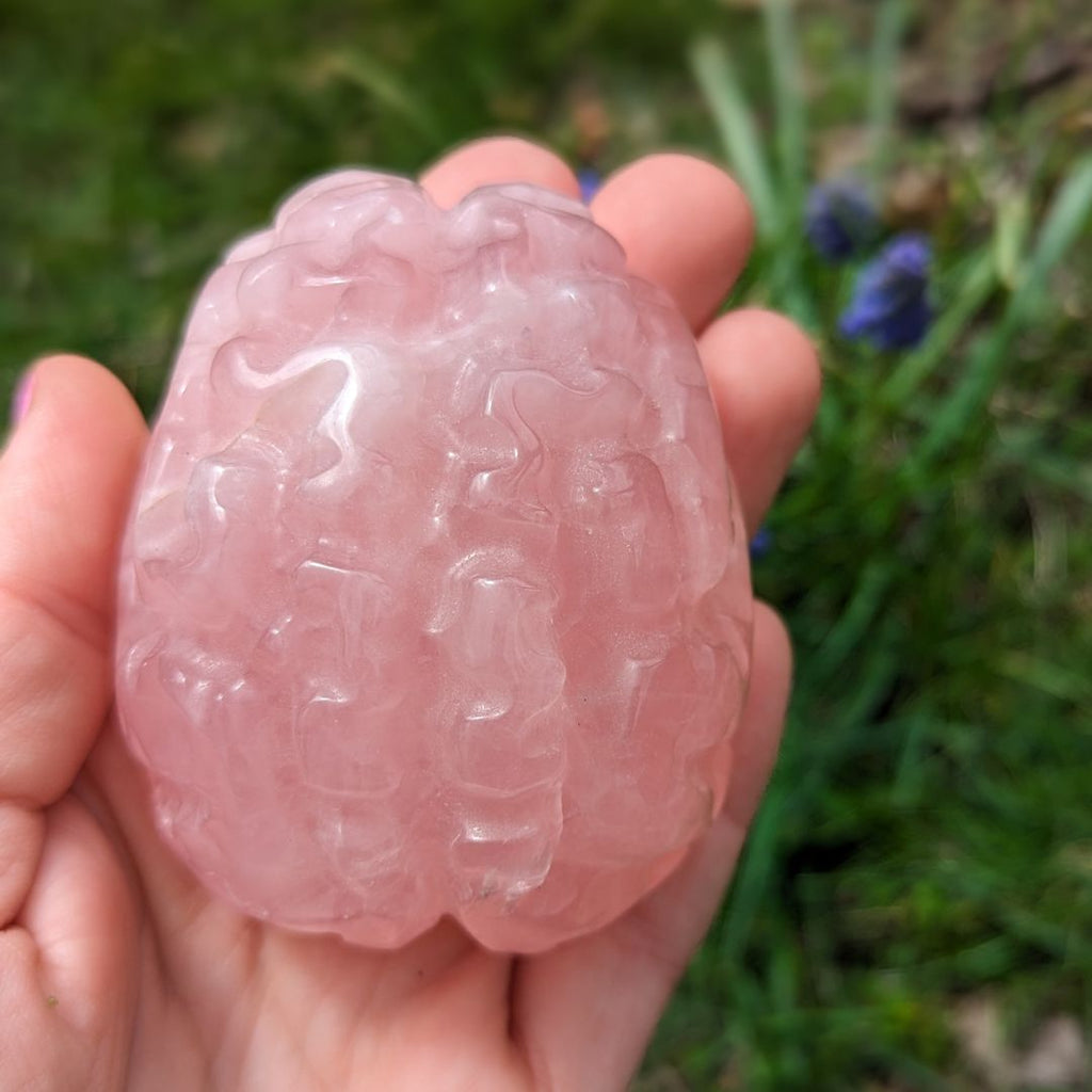 Rose Quartz Brain Carving ~ Perfect for Meditation and Studying ~ Sweet and Soothing Vibrations for Healing the Auric Field - Earth Family Crystals