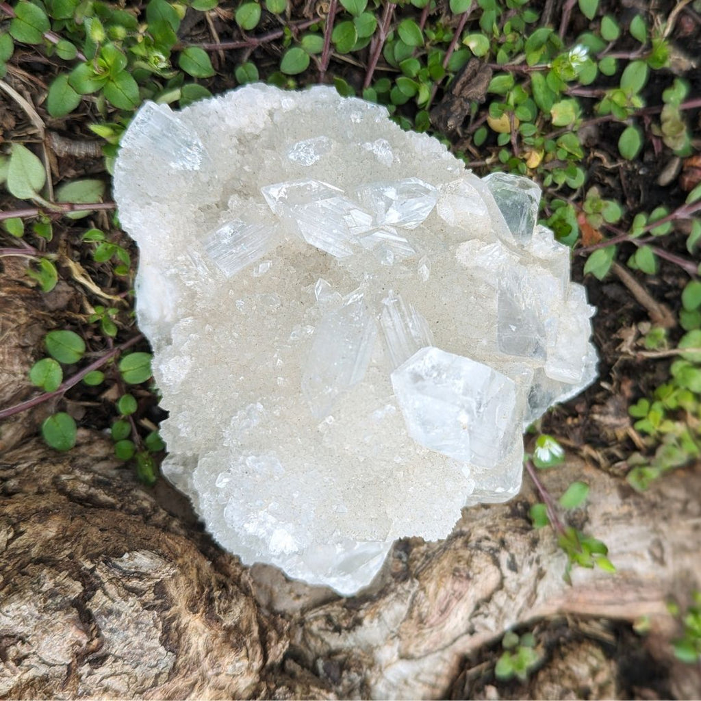 Amazing Apophyllite Cluster with Rainbows! A Tucson Gem Show Unique Find! - Earth Family Crystals
