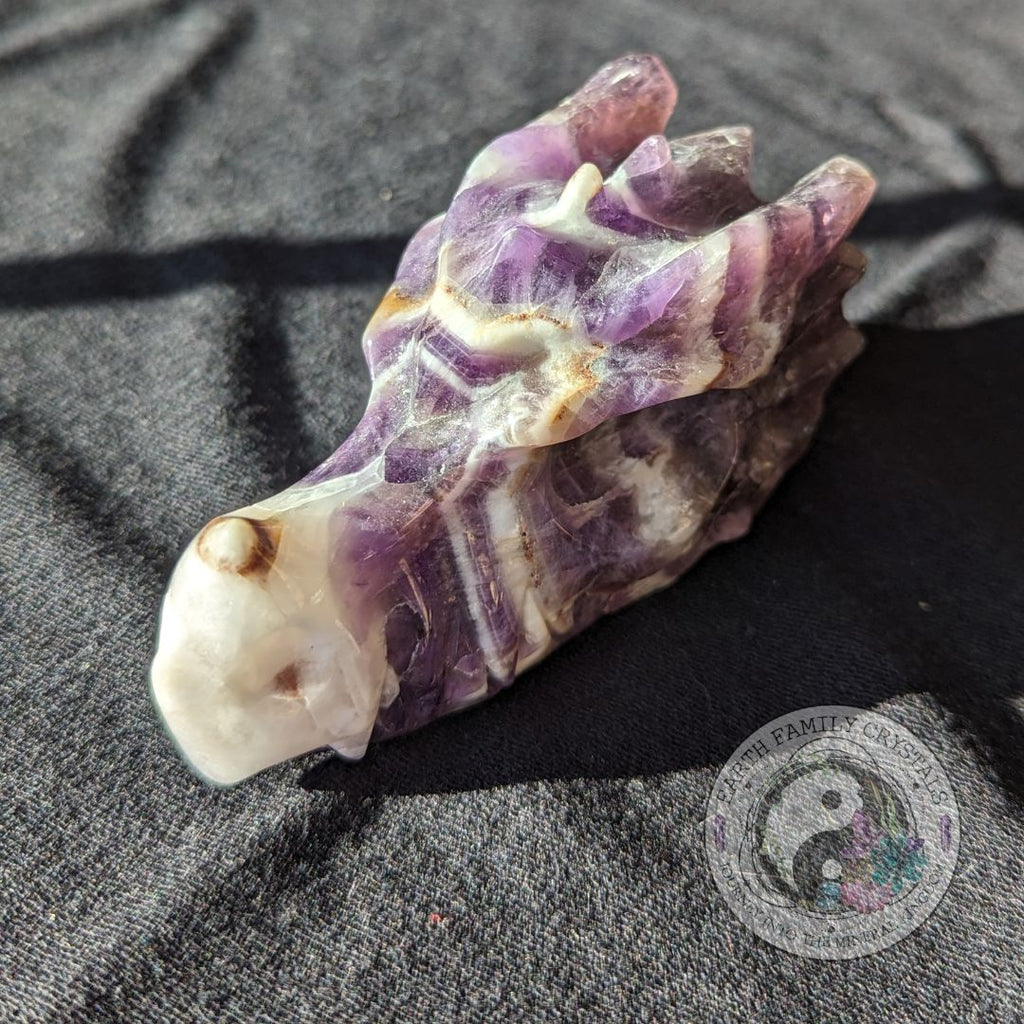 Dream Amethyst Dragon Head Carving ~ Chevron Amethyst ~ Dreamy Vibes - Earth Family Crystals