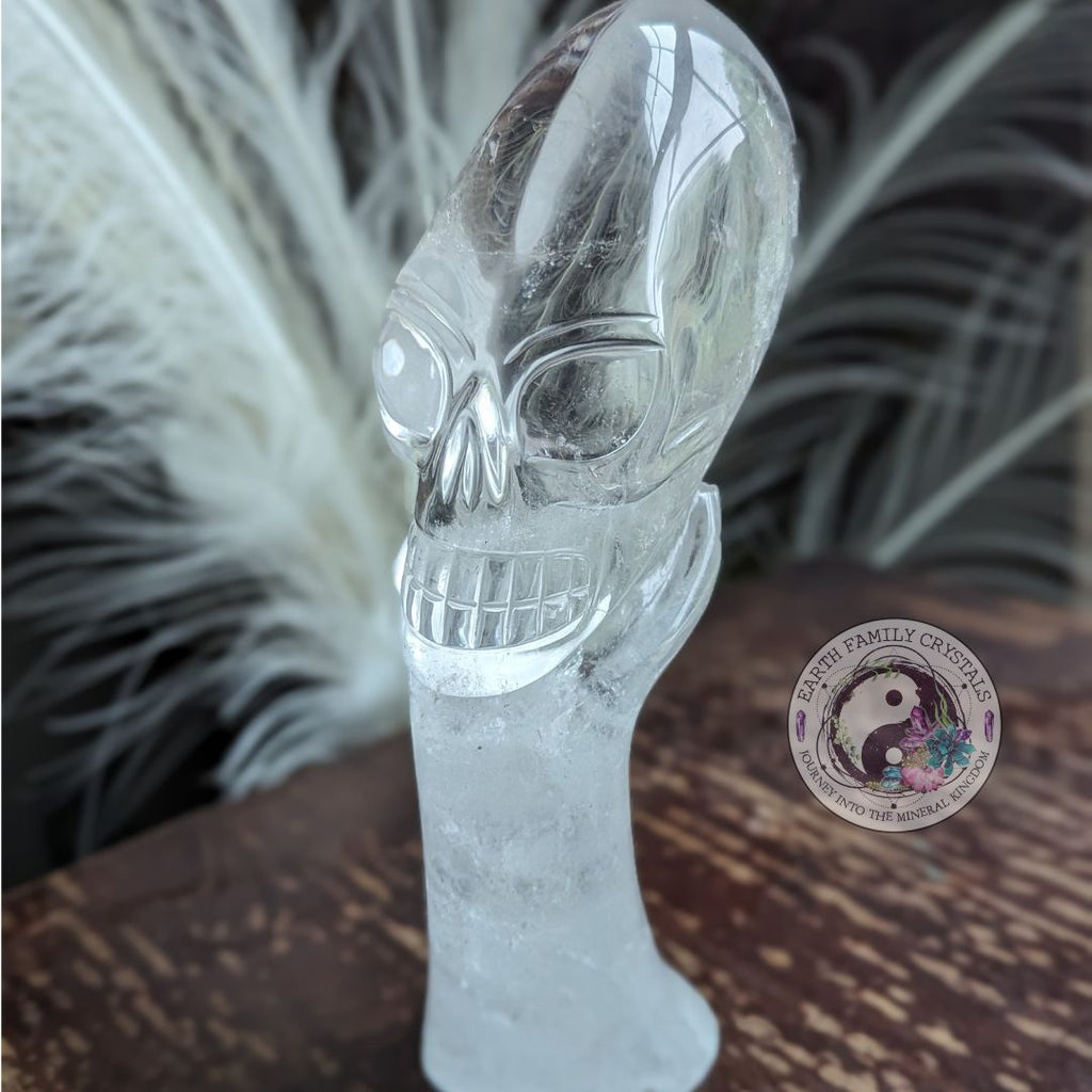 AMAZING BRAZILIAN QUARTZ CARVING~ Mystical Hand with Alien Skull ~ Intricately hand carved in Brazil ~ Luxury Display Quartz Crystal Carving - Earth Family Crystals