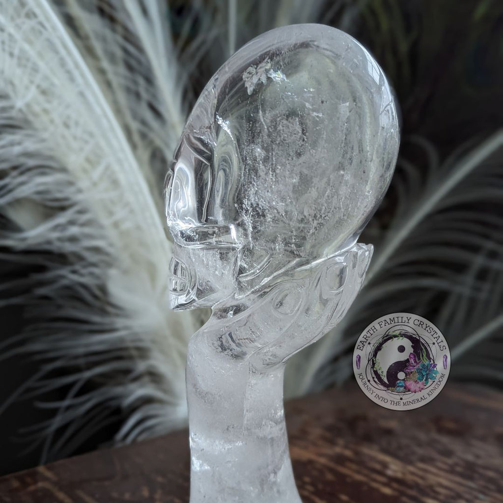 AMAZING BRAZILIAN QUARTZ CARVING~ Mystical Hand with Alien Skull ~ Intricately hand carved in Brazil ~ Luxury Display Quartz Crystal Carving - Earth Family Crystals