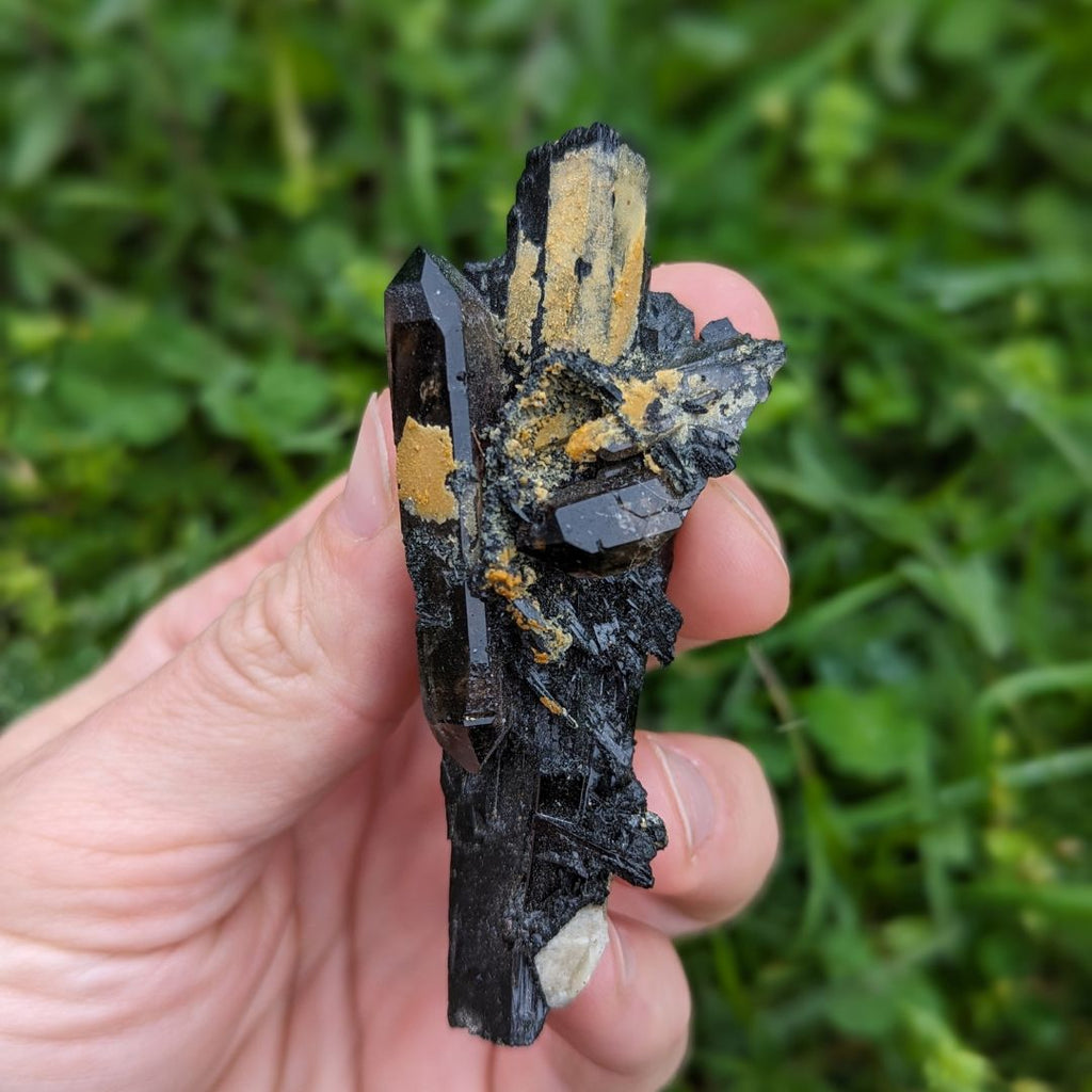 Rare and Incredibly Unique~ Double Terminated Smoky Quartz Nestled in Aegirine Specimen~ Locality Malawi, Africa - Earth Family Crystals