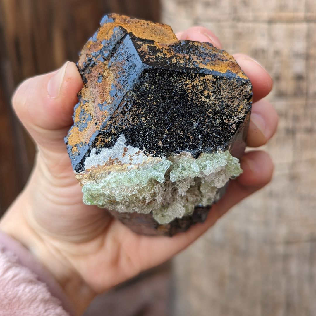 TUCSON EXCLUSIVE! GEMMY TERMINATED BLACK TOURMALINE CRYSTAL WITH HYALITE OPAL, FROM ERONGO MOUNTAIN, ERONGO REGION, NAMIBIA - Earth Family Crystals