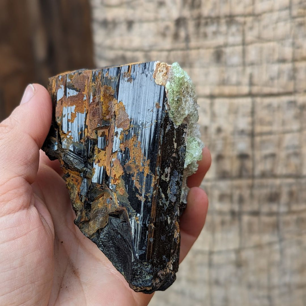 TUCSON EXCLUSIVE! GEMMY TERMINATED BLACK TOURMALINE CRYSTAL WITH HYALITE OPAL, FROM ERONGO MOUNTAIN, ERONGO REGION, NAMIBIA - Earth Family Crystals