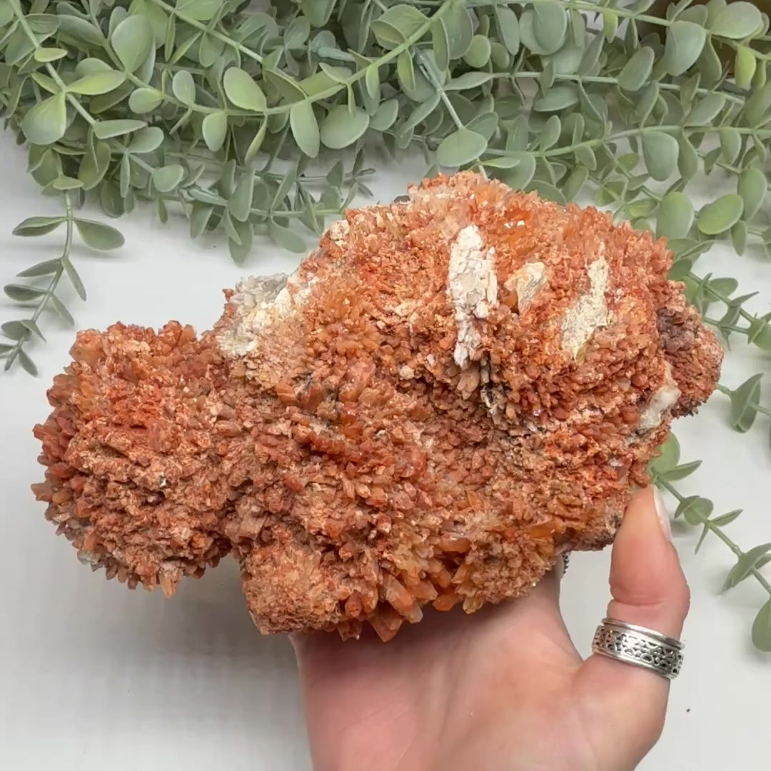 Load video: Super Jumbo Natrual Creedite Specimen with Fluorite