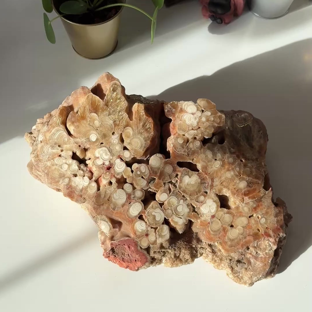 Load video: Jumbo Natural Partially Polished Onyx Crystal Display Specimen with Caves