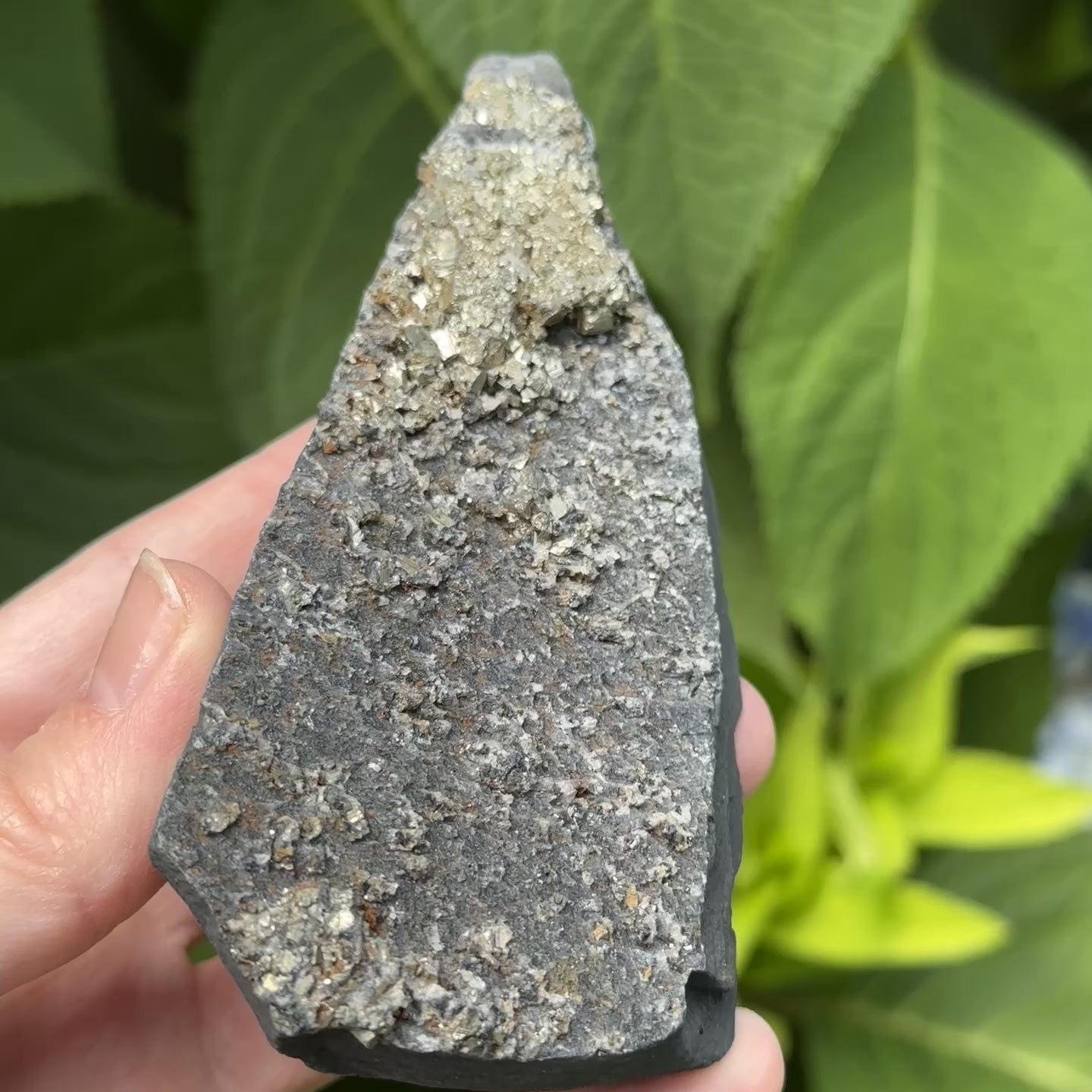 Load video: Raw Shungite Specimen with Pyrite Crust