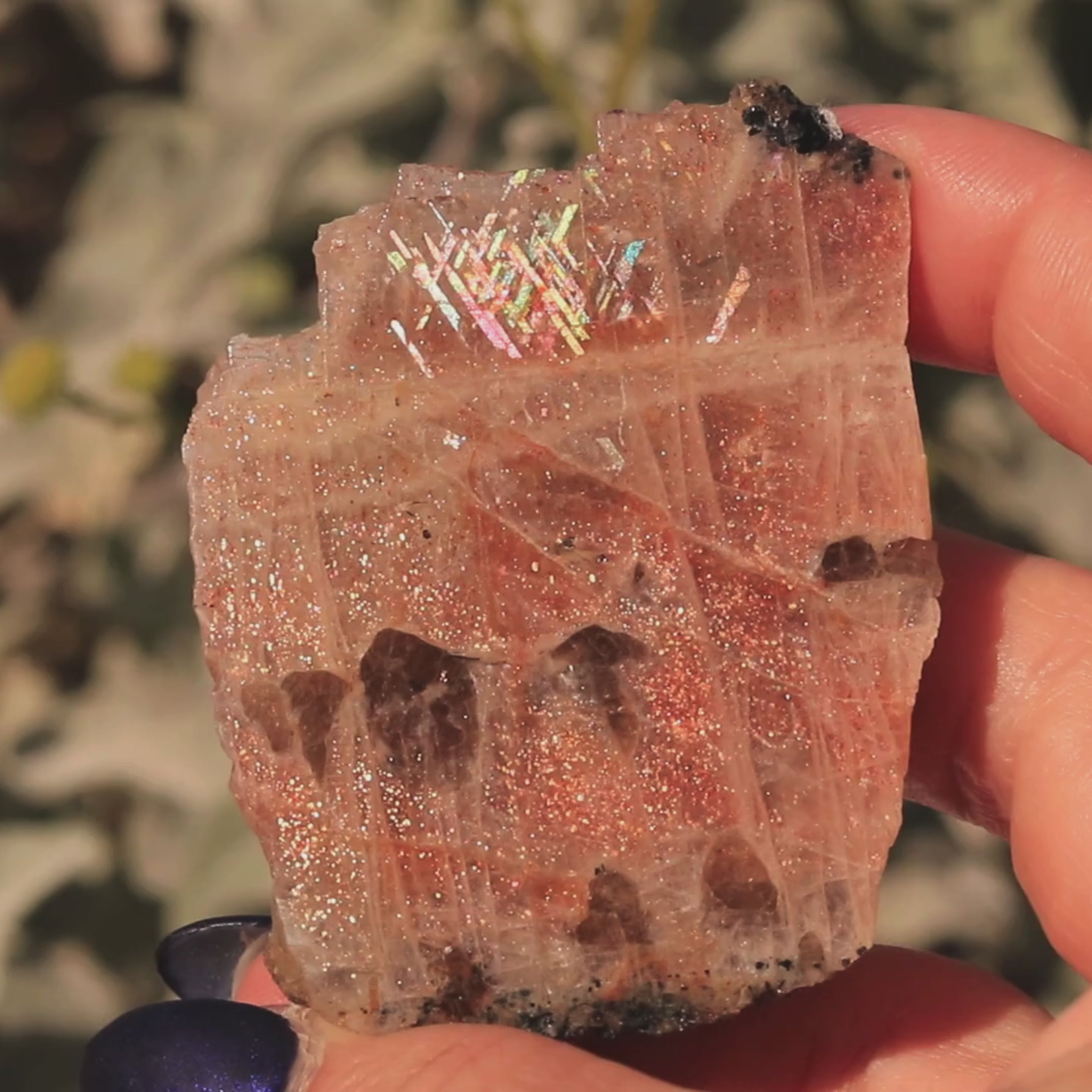 Load video: 61 CT Very Rare Rainbow Lattice Sunstone Moonstone Collectors Specimen