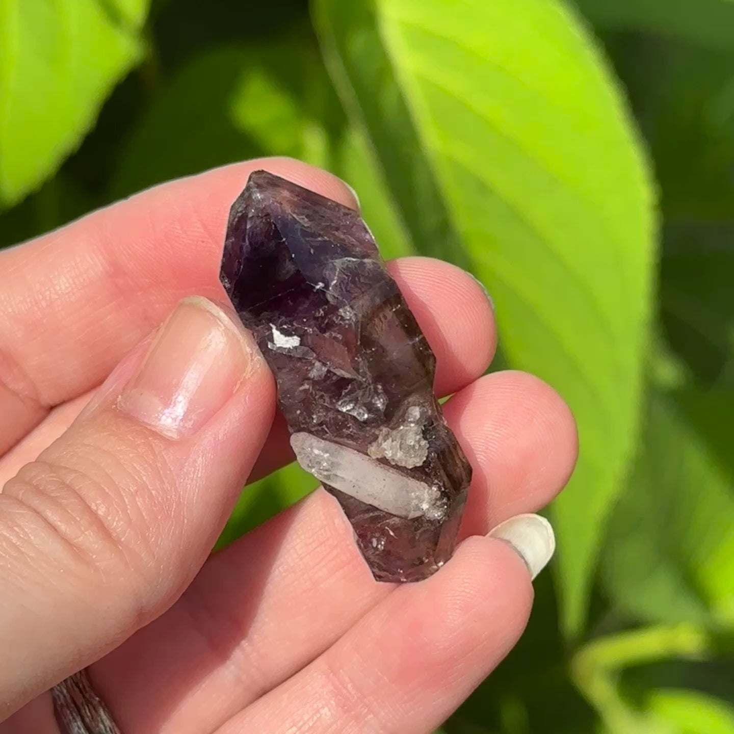Load video: Double Terminated Ancient Shangaan Amethyst Cathedral Point
