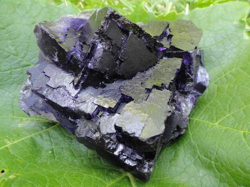 Midnight Fluorite - Earth Family Crystals