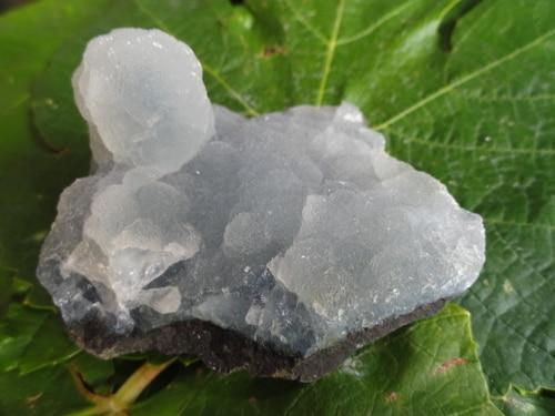 Chalcedony - Earth Family Crystals