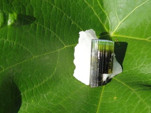 Green Tourmaline - Earth Family Crystals