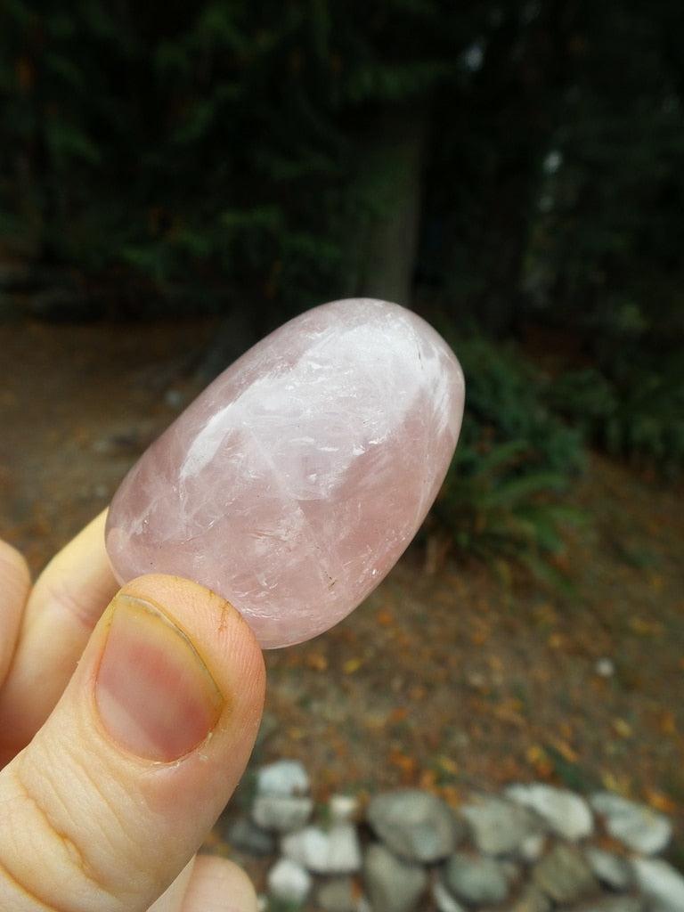 Sweet Pink Rose Quartz Palm Stone - Earth Family Crystals