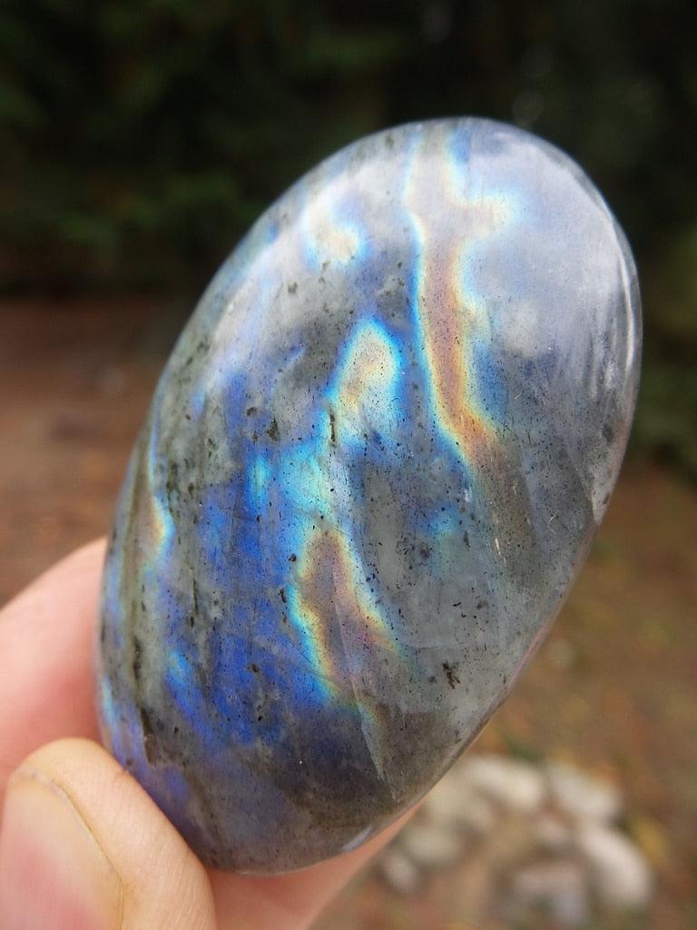 Hint Of Pink High Flash Labradorite Palm Stone - Earth Family Crystals
