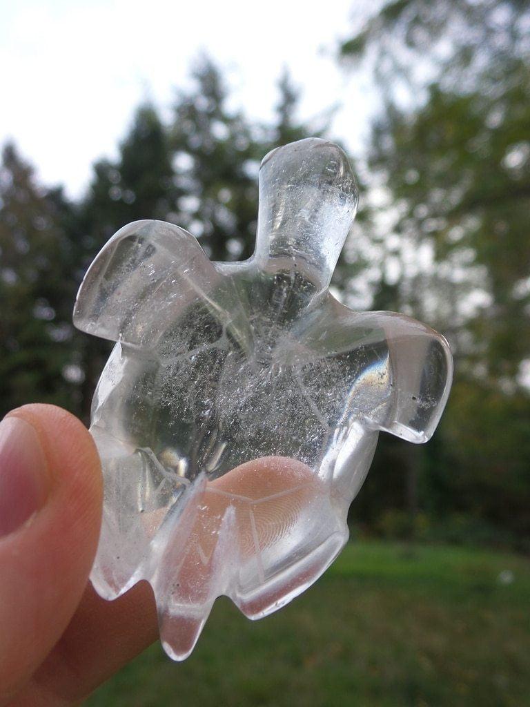 Cute Quaint Clear Quartz Turtle Carving - Earth Family Crystals