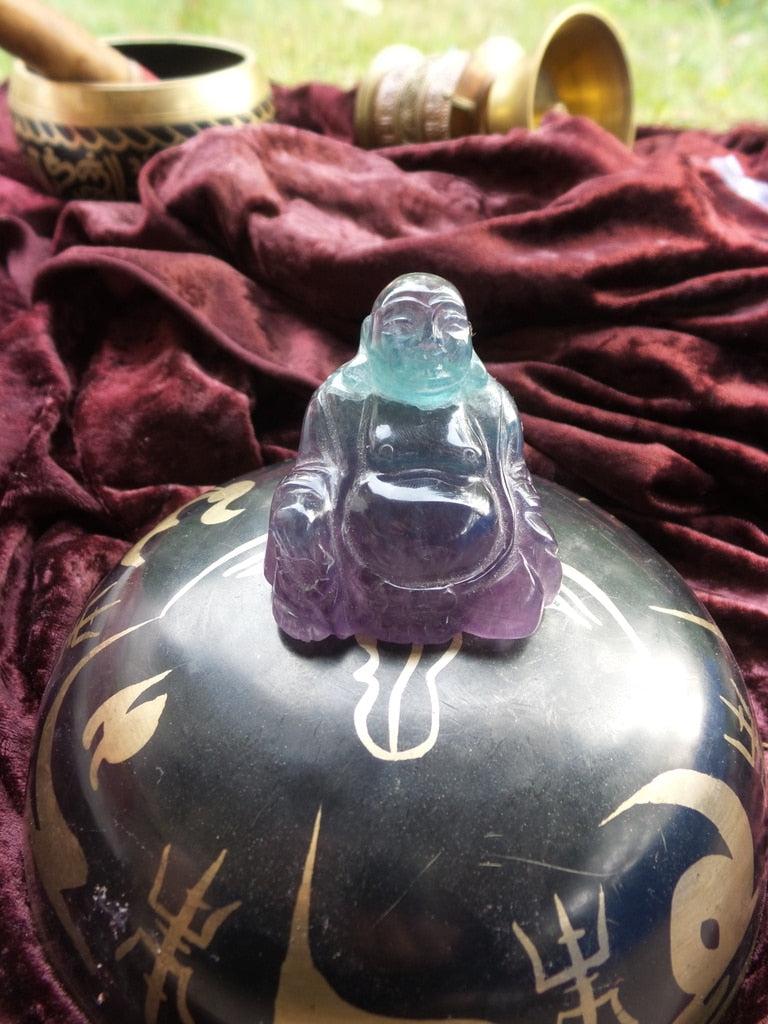 Glowing Head Rainbow Fluorite Buddha Carving - Earth Family Crystals