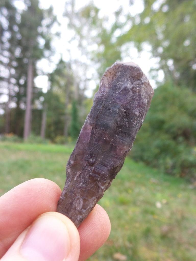 Raw Power! Super 7 Point From Brazil - Earth Family Crystals