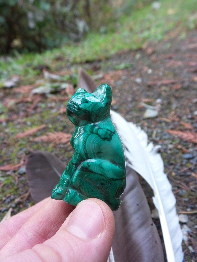 Beautiful Patterns! Malachite Cat Carving - Earth Family Crystals