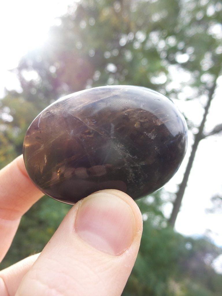 Deep Chocolate Brown Smoky Quartz Palm Stone - Earth Family Crystals