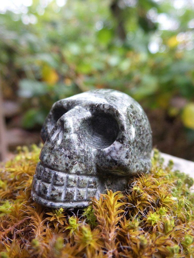 Charismatic Character! Preseli Bluestone Skull Carving - Earth Family Crystals
