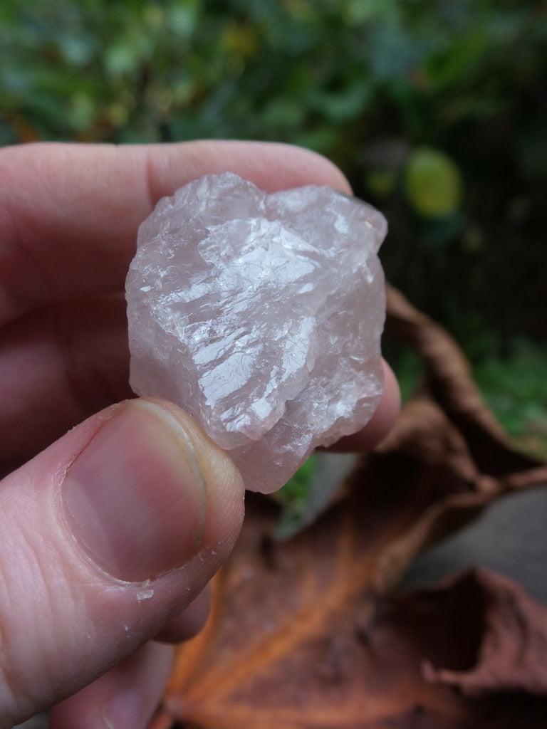 Shiny Unique Himalayan  Pink Nirvana Ice Quartz Specimen - Earth Family Crystals