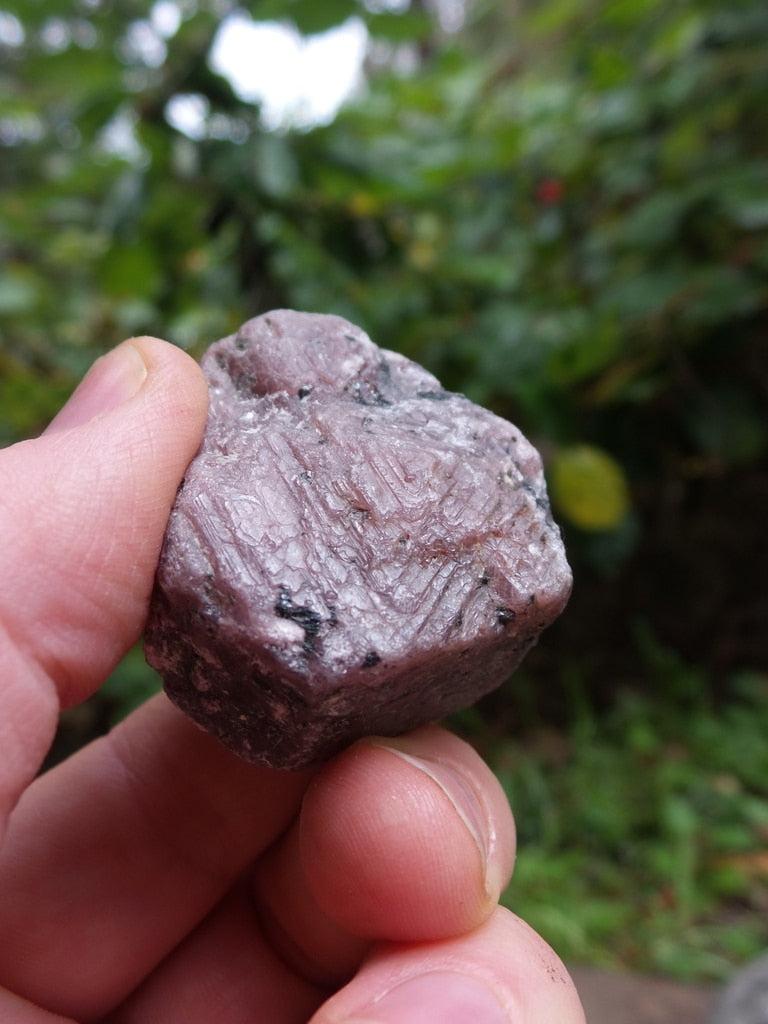 Shimmering Raw Ruby Specimen From Mysore India - Earth Family Crystals