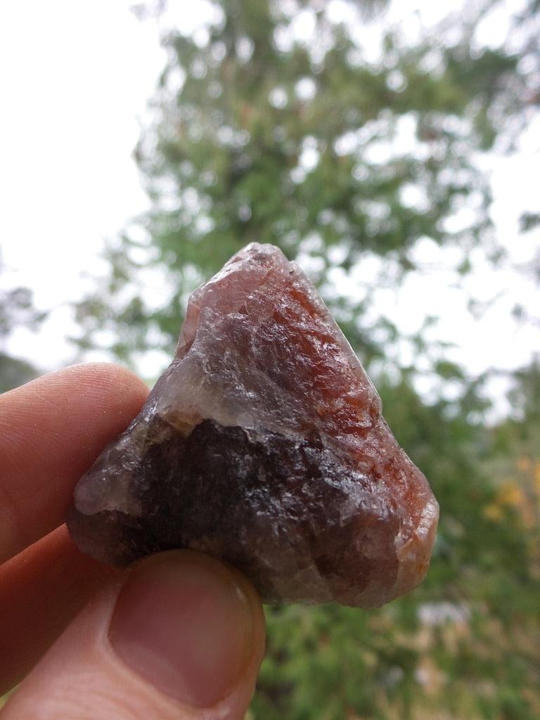 Fasinating Rare Red Amethyst Point From Brazil - Earth Family Crystals