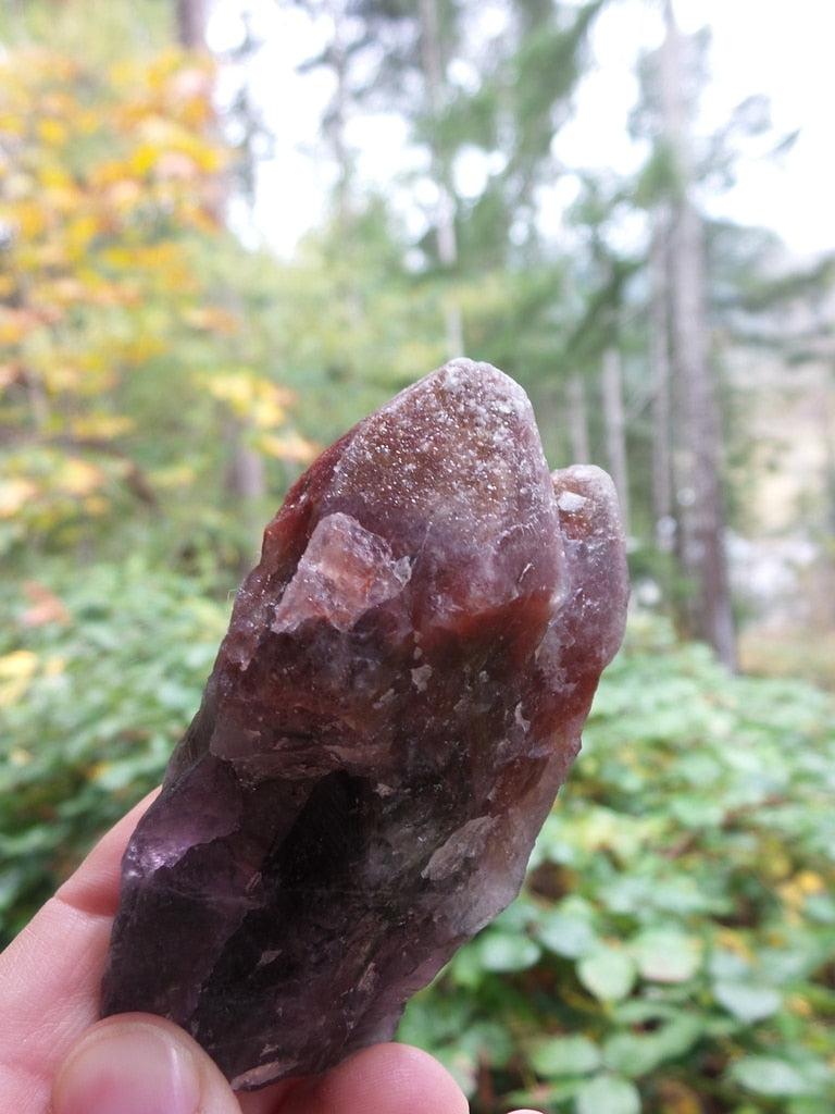Large Twin Flame Rare Red Amethyst Point From Brazil - Earth Family Crystals