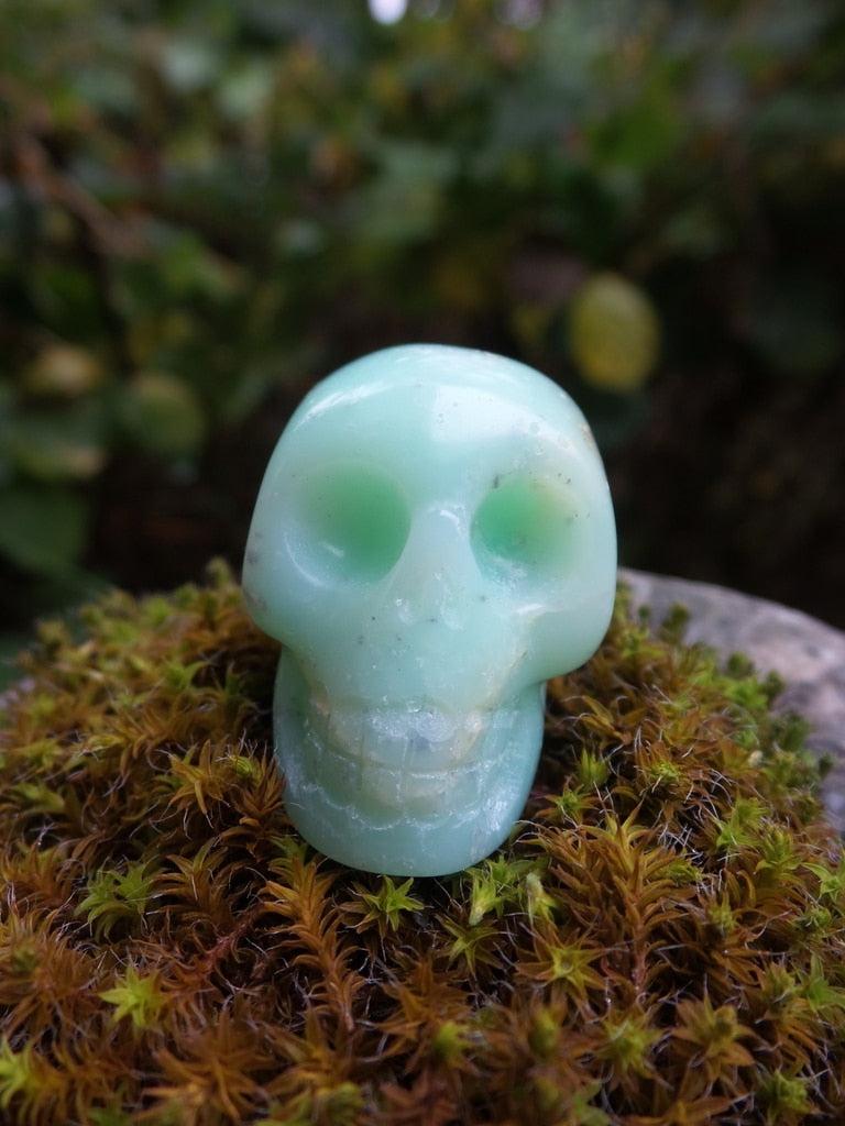 Unique Soft Green Chrysoprase Skull Carving - Earth Family Crystals