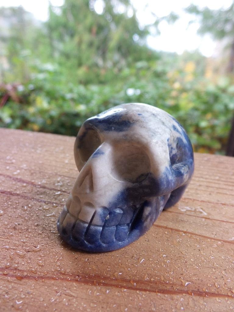 Mystical Cloudy Sky Sodalite Skull Carving - Earth Family Crystals