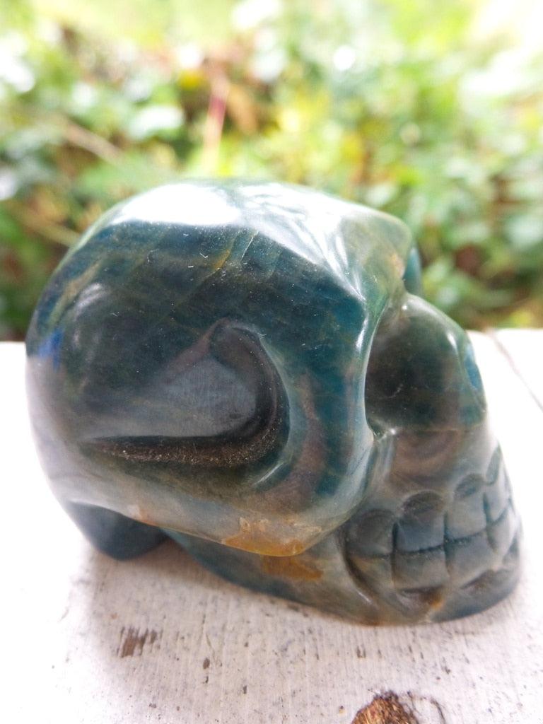 Meditating Mind Large Blue Apatite Skull Carving - Earth Family Crystals