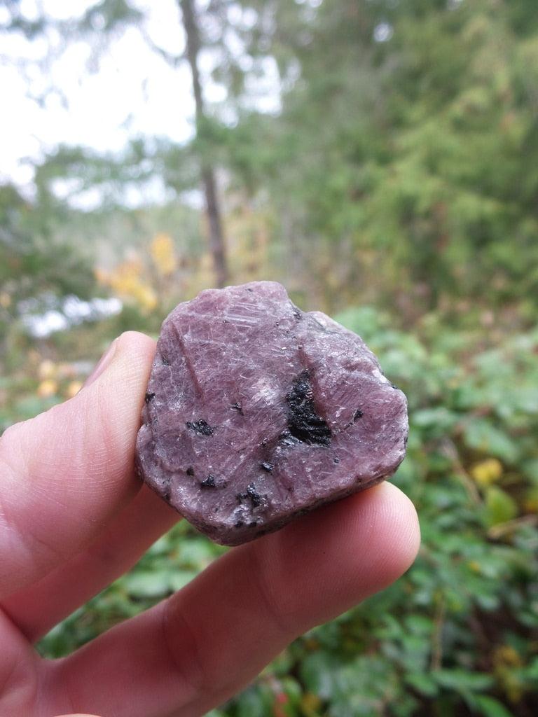 Shimmering Raw Ruby Specimen From Mysore India - Earth Family Crystals